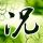 薛平贵与王宝钏